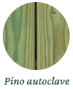 pino-autoclave