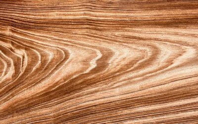 Tipos de maderas, ¿Cuál elegir?